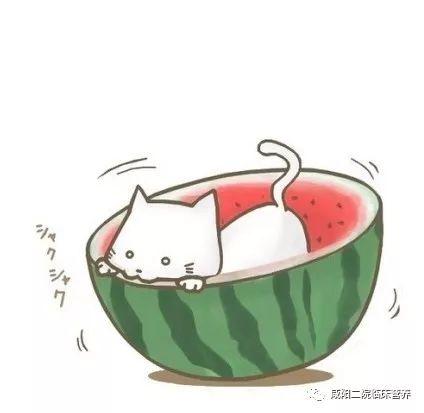 吃瓜娱乐酱头像图片